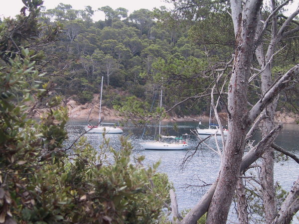 port crau